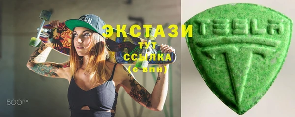 индика Арсеньев