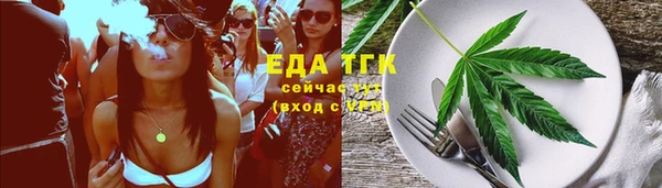 индика Арсеньев