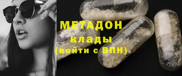 индика Арсеньев