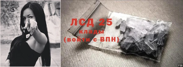 индика Арсеньев