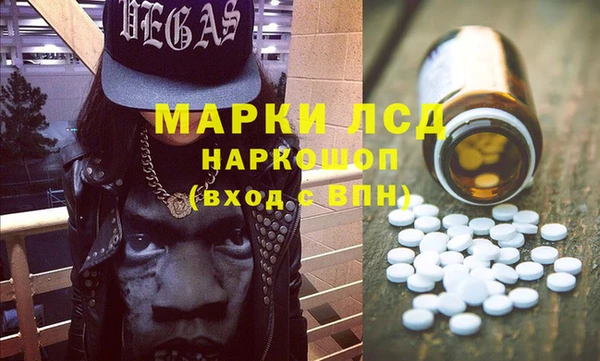 индика Арсеньев