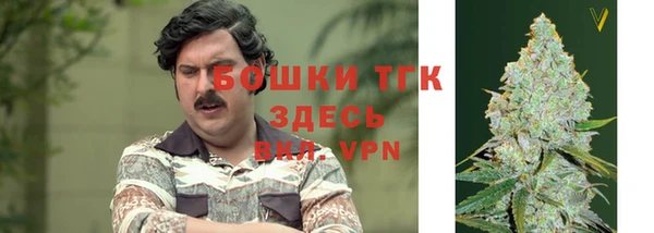 ECSTASY Аркадак