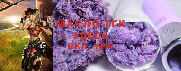индика Арсеньев