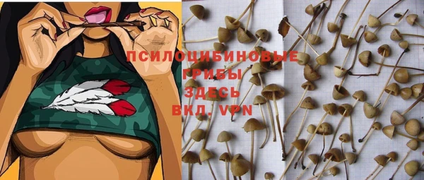 ECSTASY Аркадак