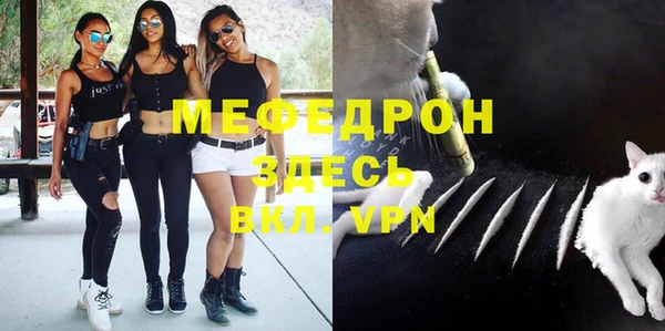 индика Арсеньев