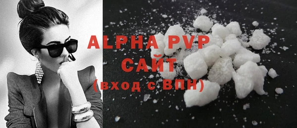 индика Арсеньев